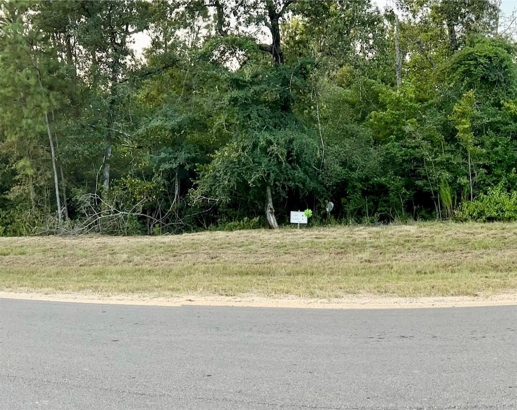 15812 Republic Ranch Rd N, Willis, TX 77378