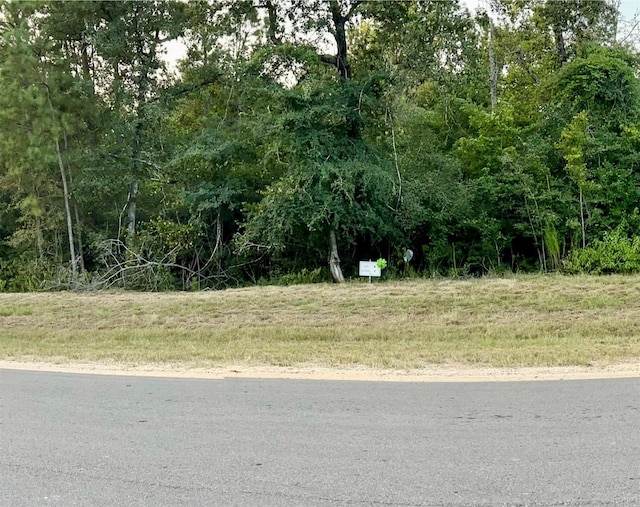 15812 Republic Ranch Rd N, Willis, TX 77378
