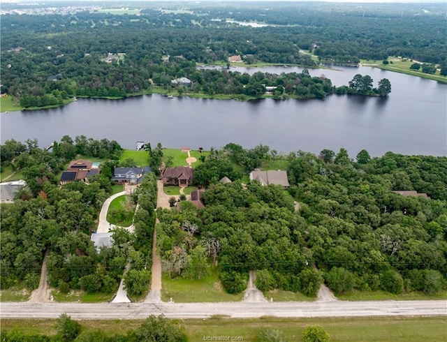 16767 Calumet Trl, College Station, TX 77845 - photo 2