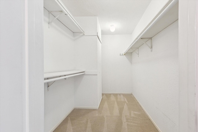 2515 Bering Dr Unit 11, Houston, TX 77057 - walk in closet with carpet flooring