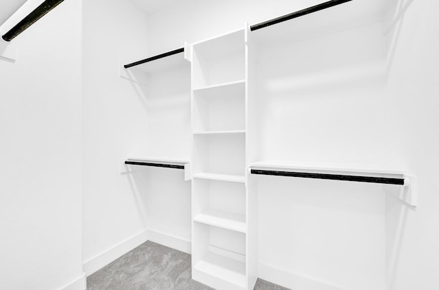 116 York St, South Houston, TX 77587 - spacious closet featuring carpet flooring