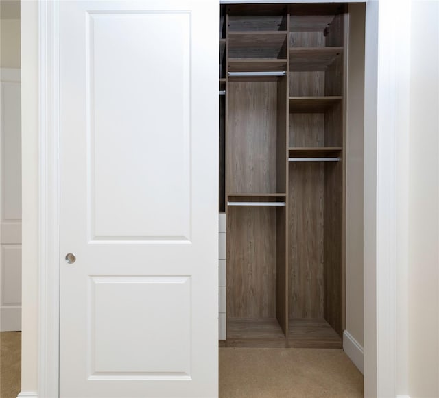 view of closet