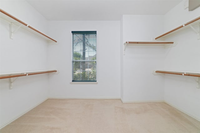 12236 S Shadow Cove Dr, Houston, TX 77082 - walk in closet featuring carpet floors