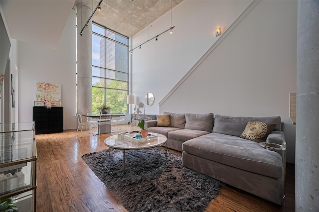 5005 Hidalgo St Unit 410, Houston, TX 77056 - living room with a towering ceiling and wood finished floors