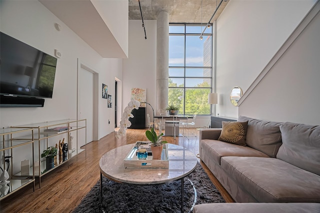 5005 Hidalgo St Unit 410, Houston, TX 77056 - living room featuring wood finished floors and a high ceiling