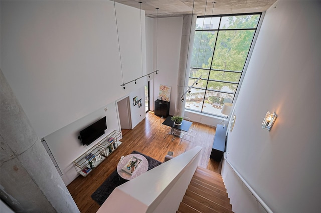 5005 Hidalgo St Unit 410, Houston, TX 77056 - living area with wood finished floors, a wall of windows, and a high ceiling