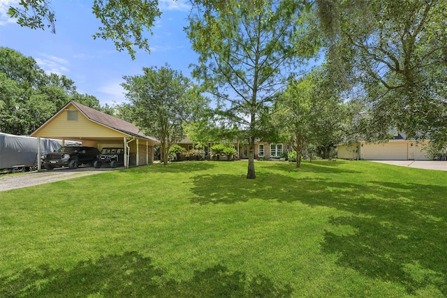 4701 County Road 747a, Brazoria, TX 77422 - view of green lawn with driveway and a carport
