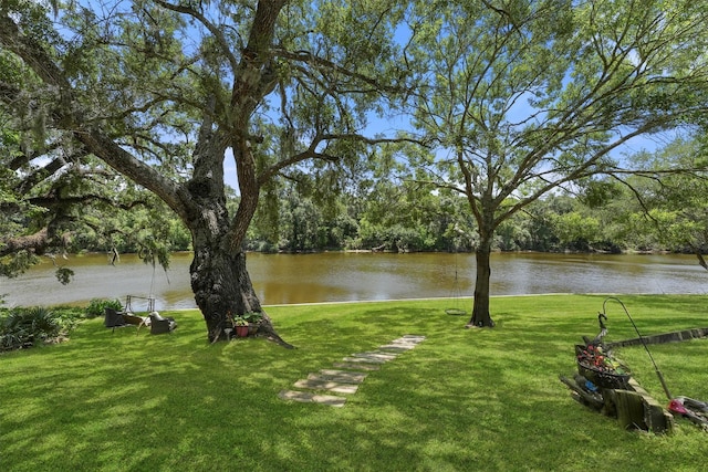 4701 County Road 747a, Brazoria, TX 77422 - view of green lawn with a water view