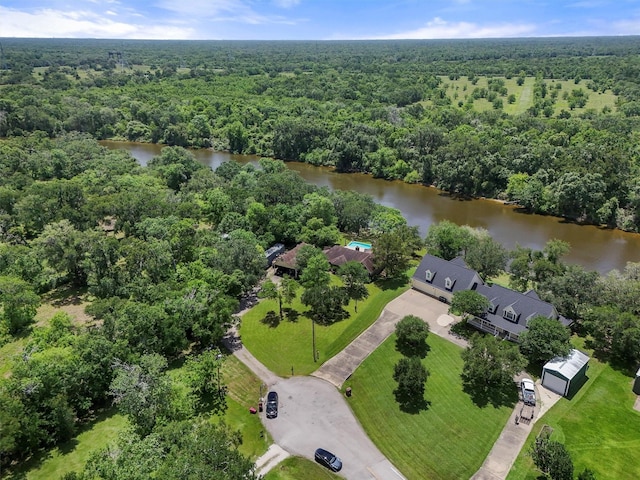 4701 County Road 747a, Brazoria, TX 77422 - bird's eye view of a heavily wooded area and a nearby body of water