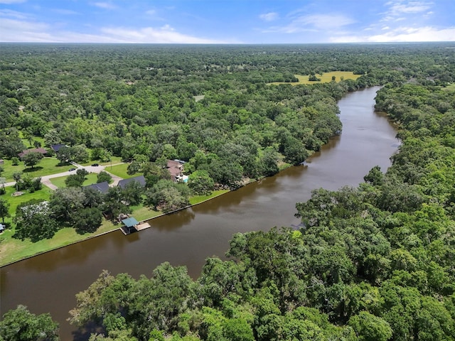 4701 County Road 747a, Brazoria, TX 77422 - aerial view of a forest and a nearby body of water