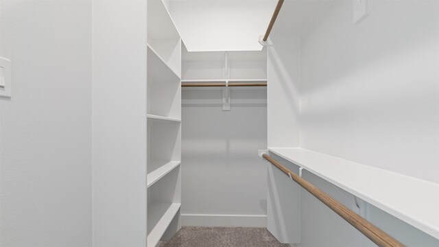 7229 Tierwester St, Houston, TX 77021 - walk in closet featuring carpet