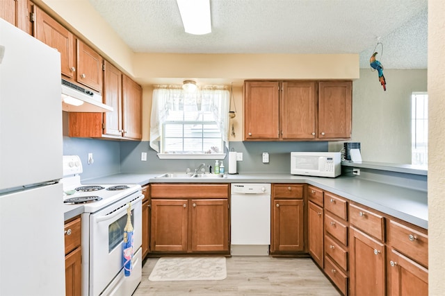 4030 Fort Bend Dr, Galveston, TX 77554 - kitchen featuring white appliances, under cabinet range hood, a textured ceiling, a sink, and plenty of natural light