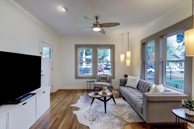 924 E 27th St, Houston, TX 77009 - living area featuring ornamental molding, a ceiling fan, healthy amount of natural light, wood finished floors, and baseboards