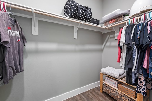 8729 Nathan Dr, Waller, TX 77484 - spacious closet with wood finished floors