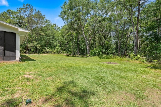 8729 Nathan Dr, Waller, TX 77484 - view of green lawn featuring a wooded view