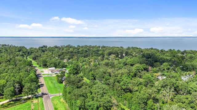 TBD Woodland Dr, Livingston, TX 77351