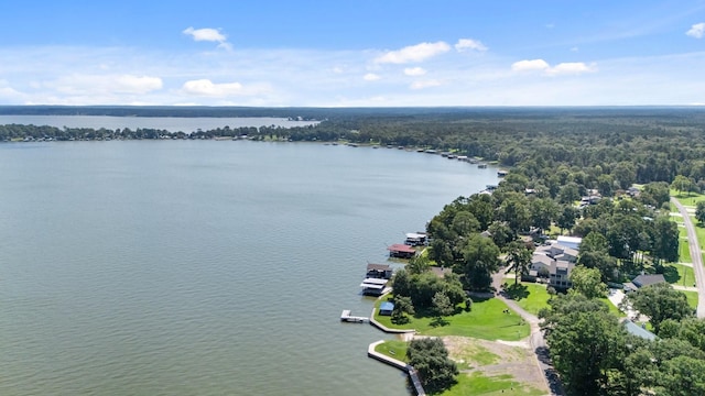 TBD Woodland Dr, Livingston, TX 77351
