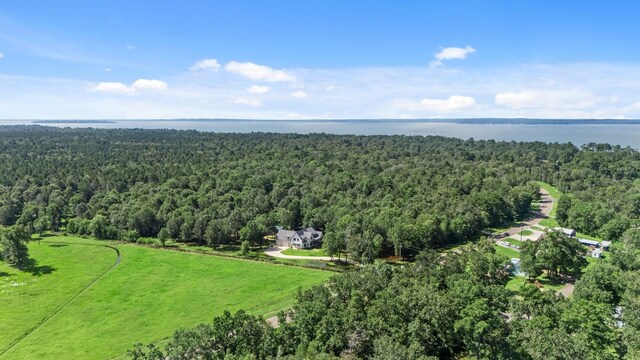 TBD Woodland Dr, Livingston, TX 77351
