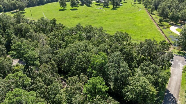 TBD Woodland Dr, Livingston, TX 77351