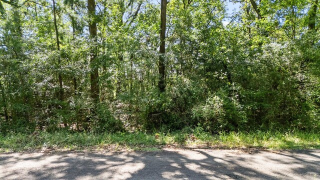 TBD Woodland Dr, Livingston, TX 77351