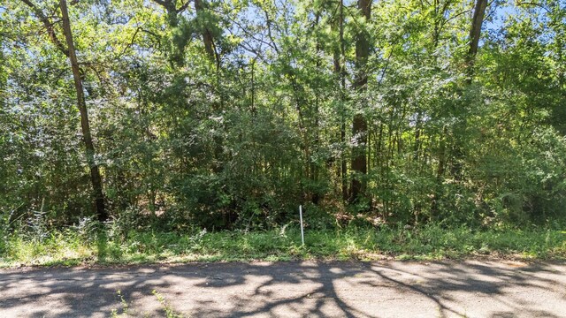 TBD Woodland Dr, Livingston, TX 77351