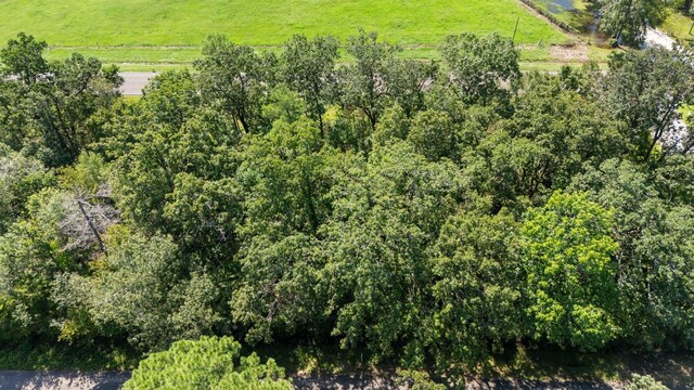 TBD Woodland Dr, Livingston, TX 77351