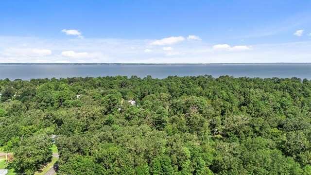 TBD Woodland Dr, Livingston, TX 77351