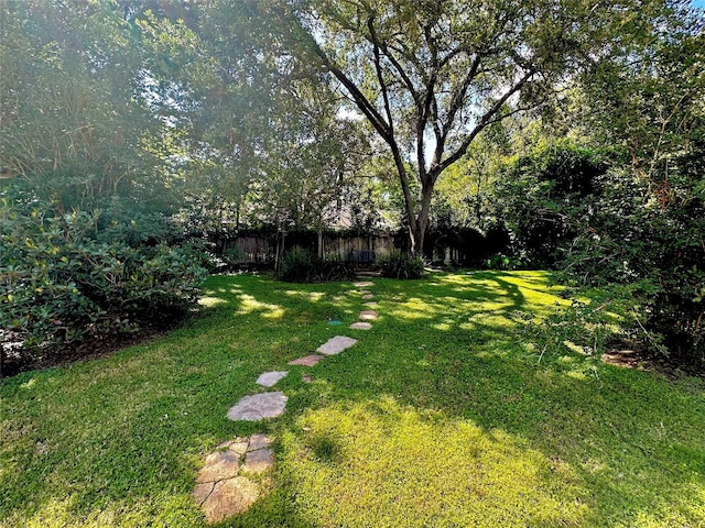 3007 Broadmoor Dr, Sugar Land, TX 77478 - view of yard
