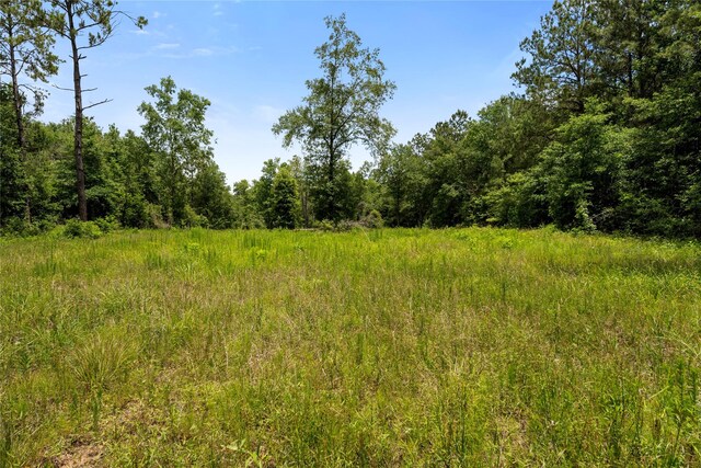 4578 N Duck Creek Rd, Cleveland, TX 77328