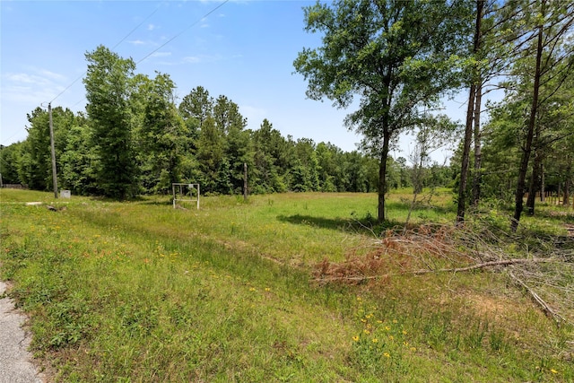 4578 N Duck Creek Rd, Cleveland, TX 77328