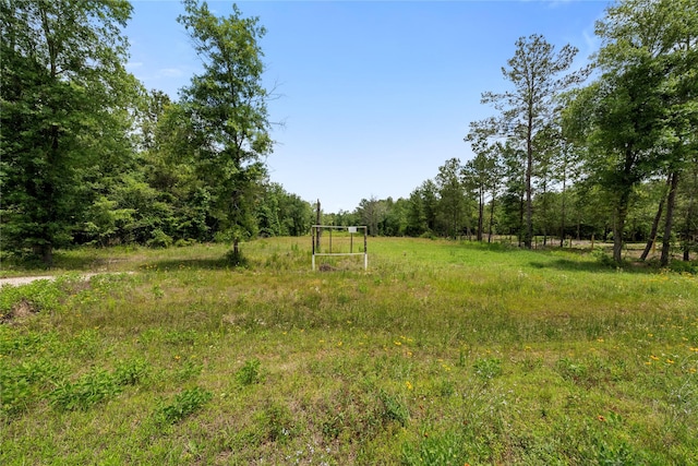 4578 N Duck Creek Rd, Cleveland, TX 77328