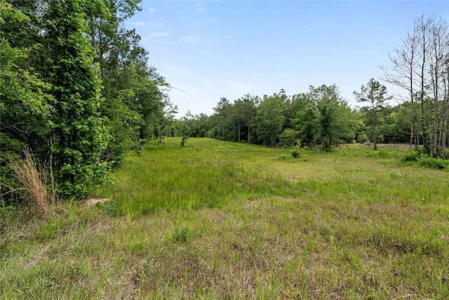 4578 N Duck Creek Rd, Cleveland, TX 77328