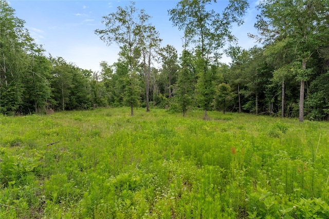 4578 N Duck Creek Rd, Cleveland, TX 77328