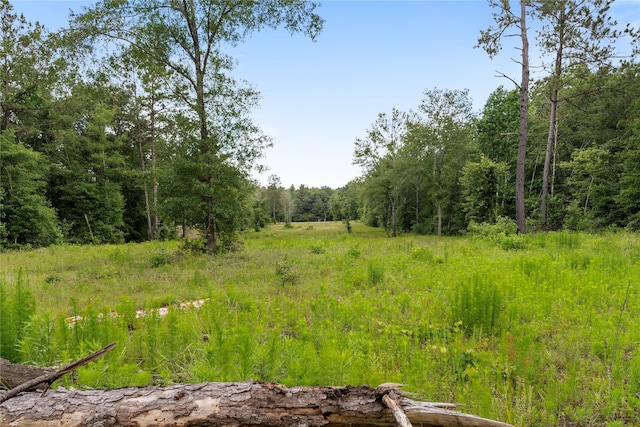 4578 N Duck Creek Rd, Cleveland, TX 77328