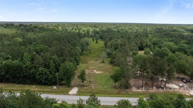 4578 N Duck Creek Rd, Cleveland, TX 77328