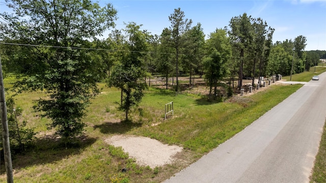 4578 N Duck Creek Rd, Cleveland, TX 77328