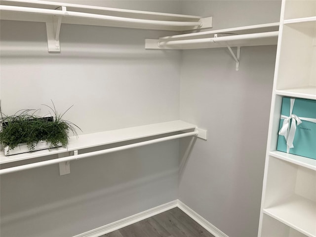 spacious closet with dark wood-style floors