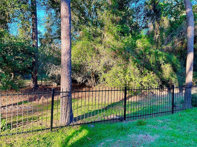 25818 Overlake Dr, Spring, TX 77380 - view of yard