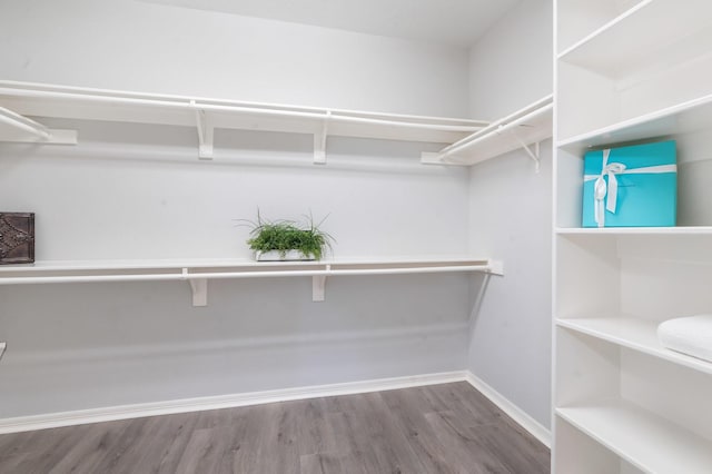 25818 Overlake Dr, Spring, TX 77380 - walk in closet with wood finished floors