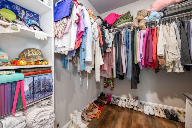 26579 Pin Oak Dr, Hempstead, TX 77445 - spacious closet with wood finished floors