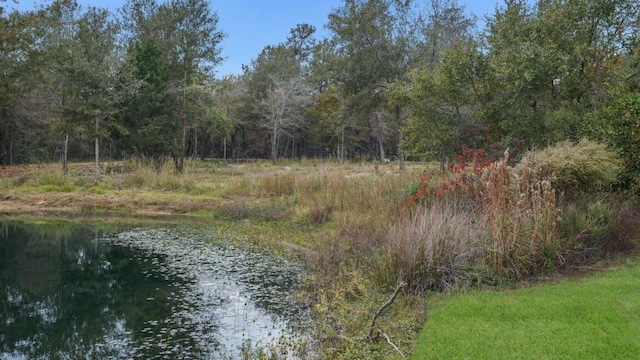 26579 Pin Oak Dr, Hempstead, TX 77445 - water view with a forest