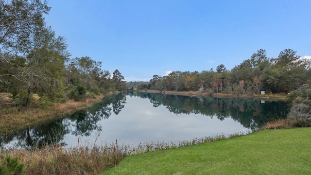 26579 Pin Oak Dr, Hempstead, TX 77445 - water view featuring a forest