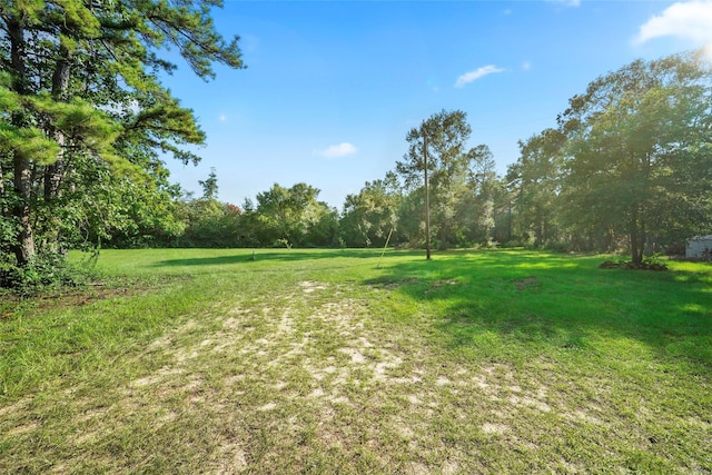 7477 Hidden Acres Dr, Cleveland, TX 77328 - view of green lawn featuring a forest view