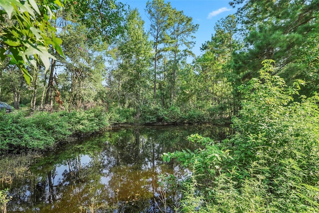7477 Hidden Acres Dr, Cleveland, TX 77328 - water view