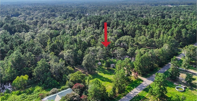 7477 Hidden Acres Dr, Cleveland, TX 77328 - view of property location featuring a heavily wooded area