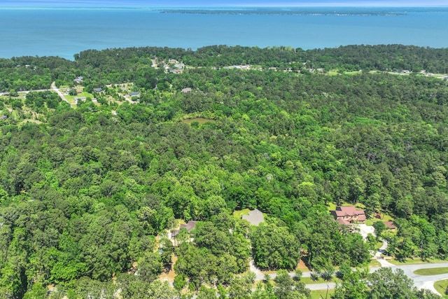 777 S Cape Royale Dr, Coldspring, TX 77331 - drone / aerial view of a heavily wooded area