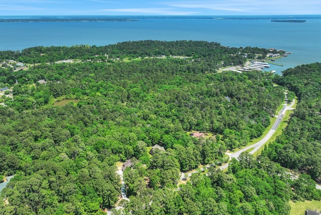 777 S Cape Royale Dr, Coldspring, TX 77331 - drone / aerial view of a heavily wooded area and a nearby body of water