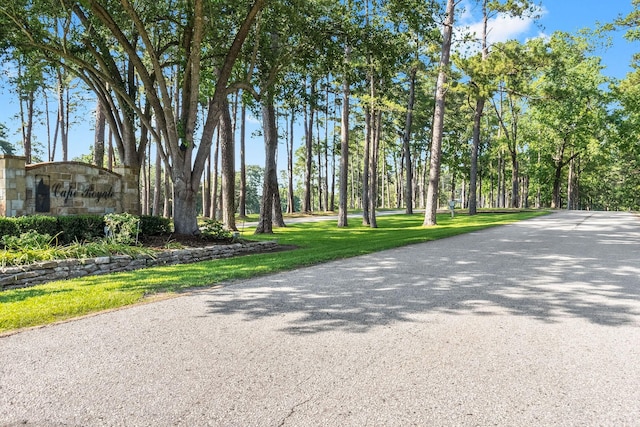 777 S Cape Royale Dr, Coldspring, TX 77331 - view of asphalt road