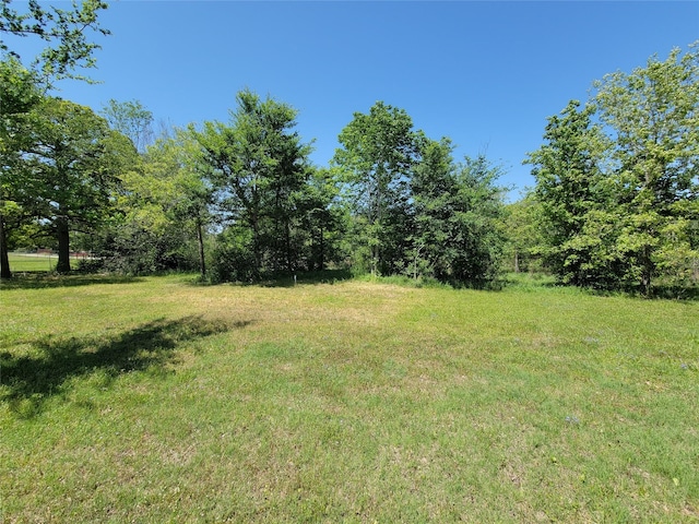 2755 Overlook Rd, Caldwell, TX 77836 - view of yard