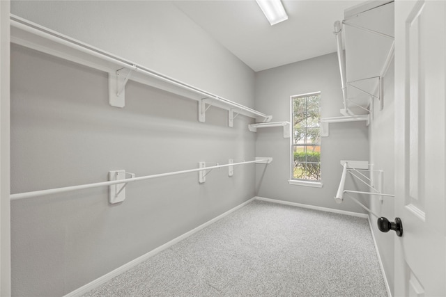 3427 Powell Way, Missouri City, TX 77459 - walk in closet with carpet flooring